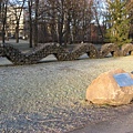 IMG_3641.jpg