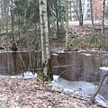IMG_3661.jpg