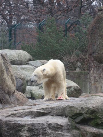 IMG_4467.jpg