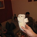 IMG_4744.jpg