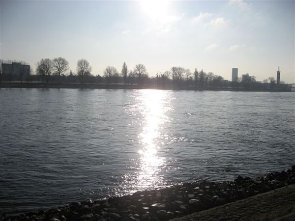 IMG_4916.jpg