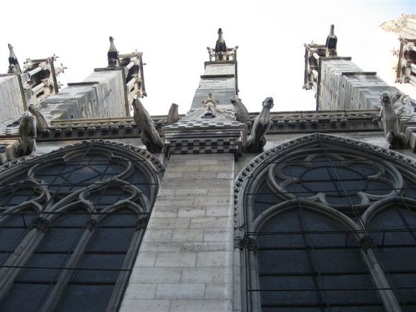 IMG_5316.jpg