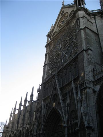 IMG_5317.jpg