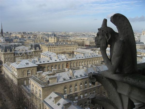 IMG_5324.jpg