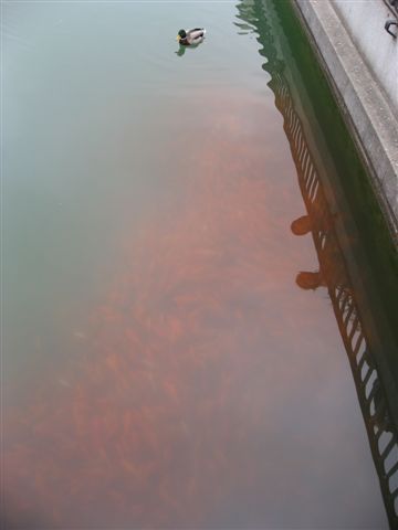 IMG_5850.jpg