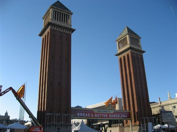 IMG_6029.jpg