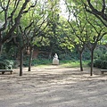 IMG_6103.jpg