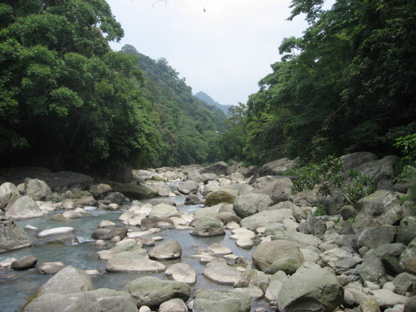 護魚步道1