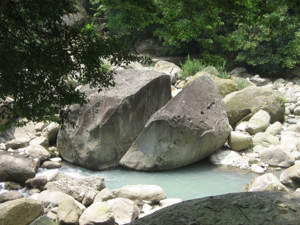 護魚步道4