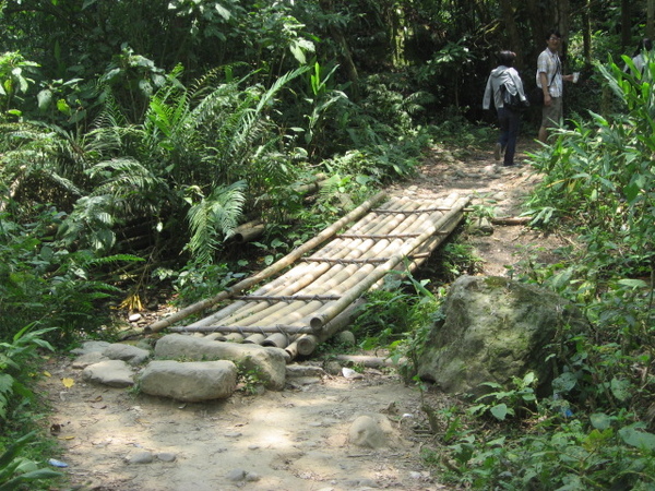 護魚步道5