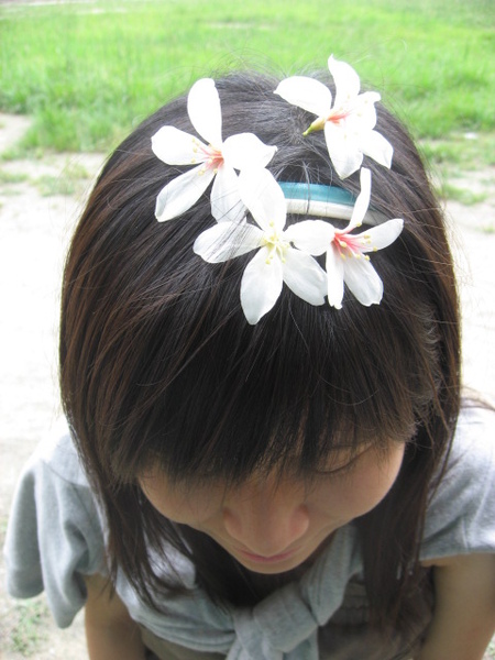 油桐阿花1