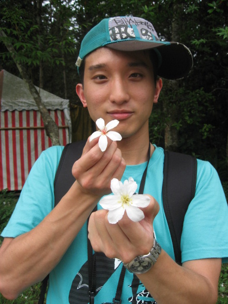 油桐阿花2