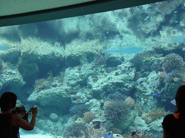 水族館內