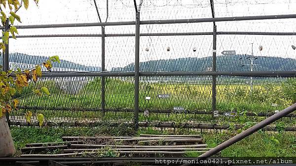 臨津閣觀光園區