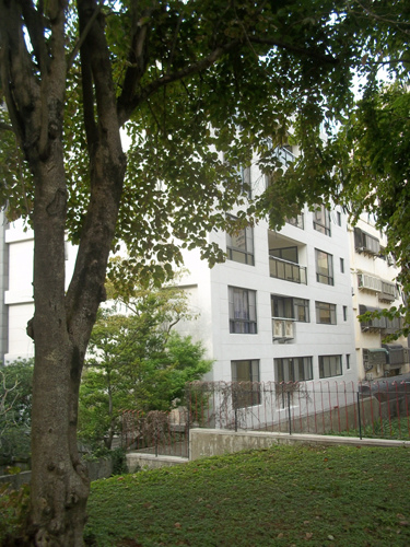 綠樹掩映的角落