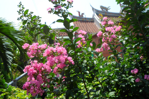 七夕，金山寺拜拜1