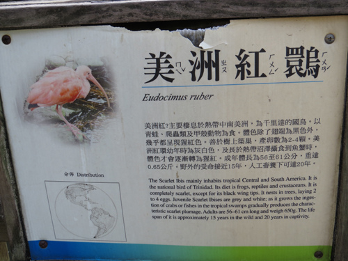 說明牌 說明牌