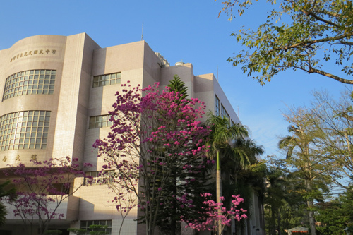 再拍洋紅風鈴木2