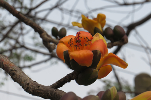 IMG_3296 IMG_3296