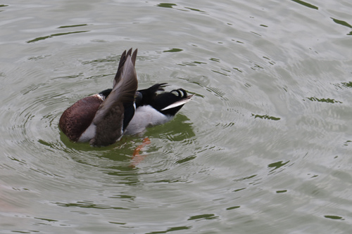 IMG_6374 IMG_6374