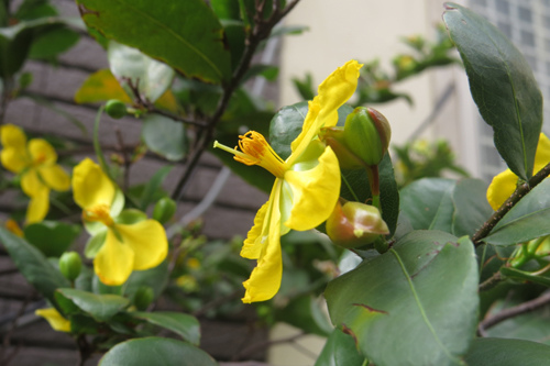 IMG_6456 IMG_6456