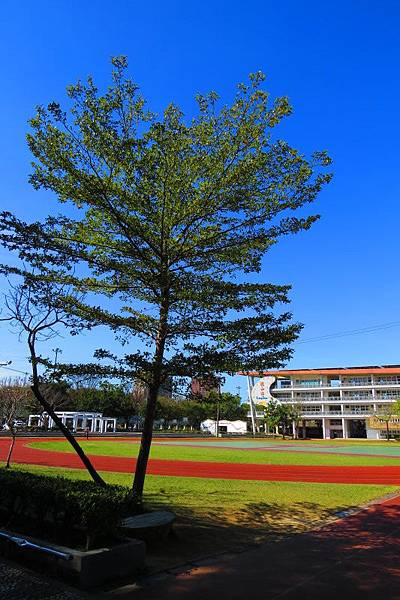 龍山國小校園一隅