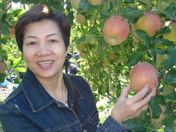 Day2~快點挑一顆...