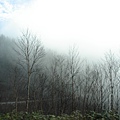 DSC04390.JPG