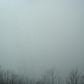 DSC04394.JPG