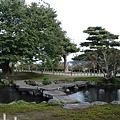 DSC04473.JPG