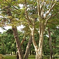 DSC04486.JPG