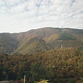DSC04516.JPG