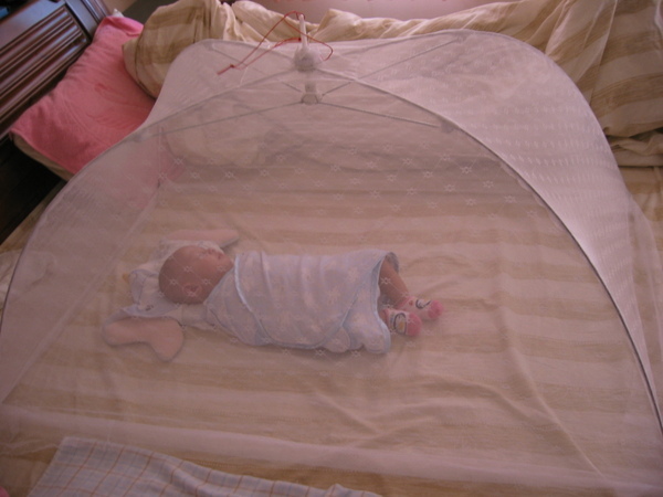 5/18-我的大蚊帳..