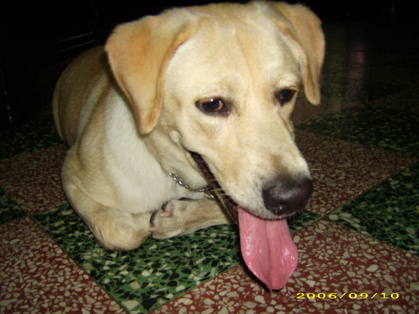 DSCI0026.JPG DSCI0026.JPG