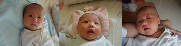 圖片4.jpg 圖片4.jpg