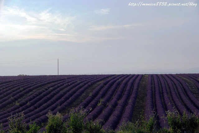 Valensole0005