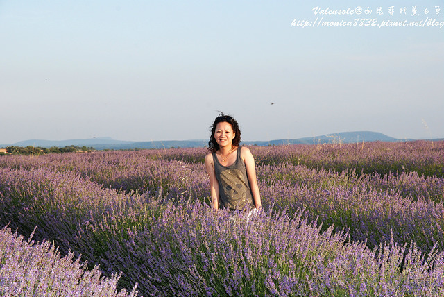 Valensole0019