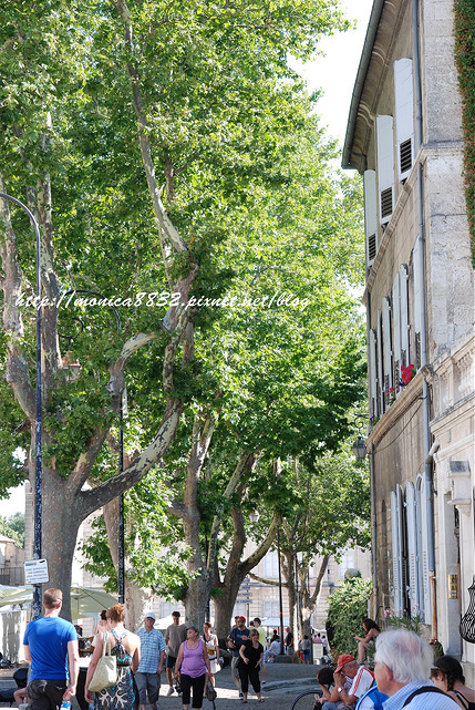 Avignon0046