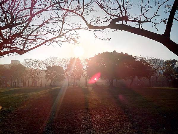 霧起如仙境的埔頂公園 (1).jpg