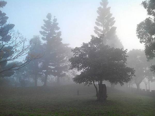 霧起如仙境的埔頂公園 (2).jpg