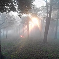 霧起如仙境的埔頂公園 (9).jpg