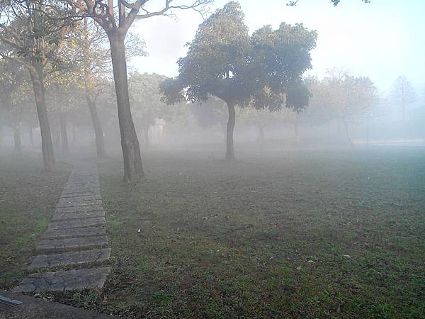 霧起如仙境的埔頂公園 (12).jpg