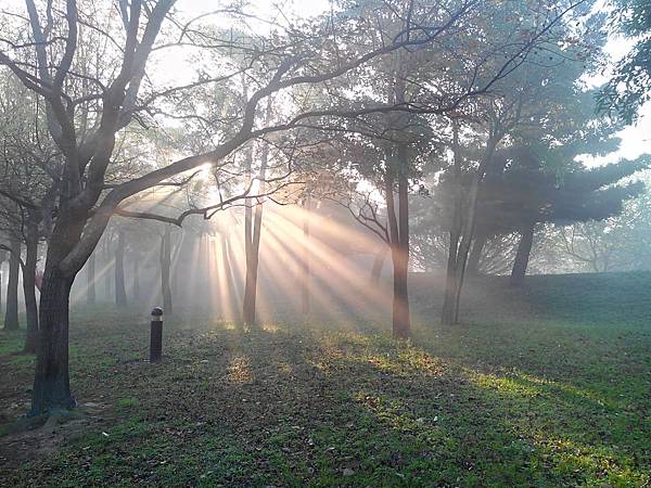 霧起如仙境的埔頂公園 (17).jpg