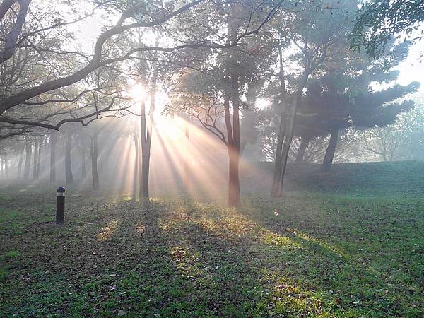 霧起如仙境的埔頂公園 (18).jpg