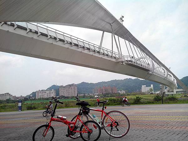 新北市車道歷險記 (15).jpg