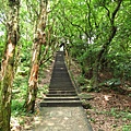 虎頭山公園爬山賞花 (32).JPG