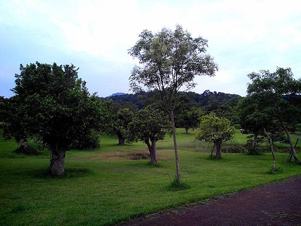 三坑自然生態公園 (5).jpg