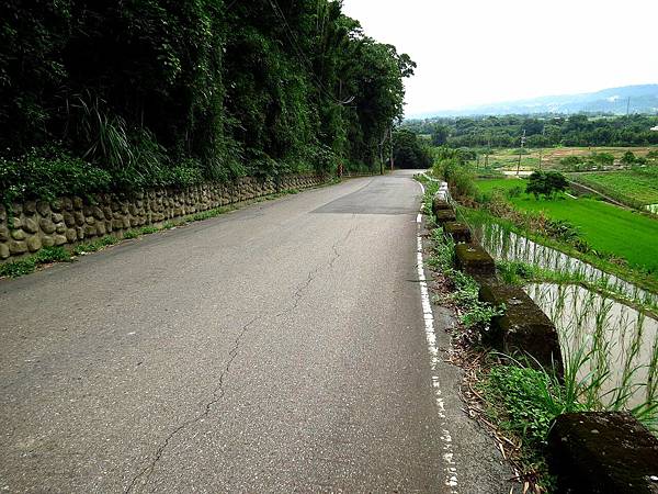 三坑自然生態公園 (32).jpg