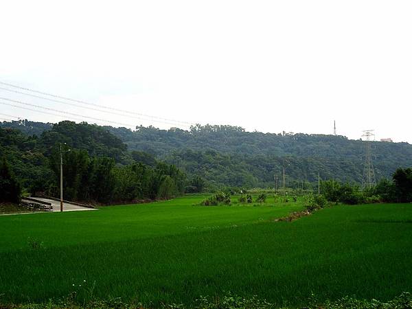 三坑自然生態公園 (33).jpg