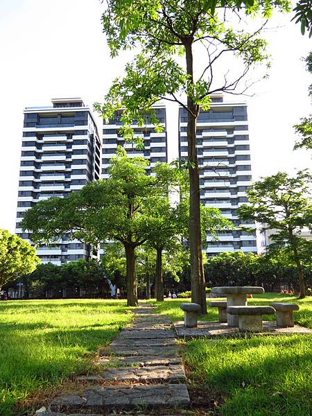 大溪埔頂公園 穗花棋盤腳花 (13).JPG